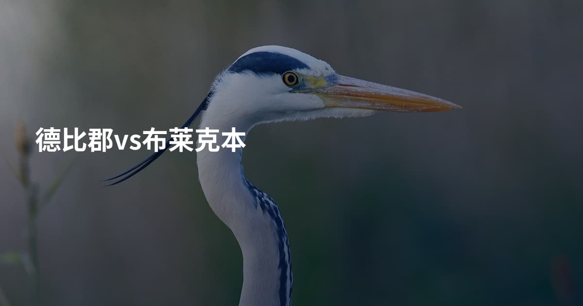 德比郡vs布莱克本
