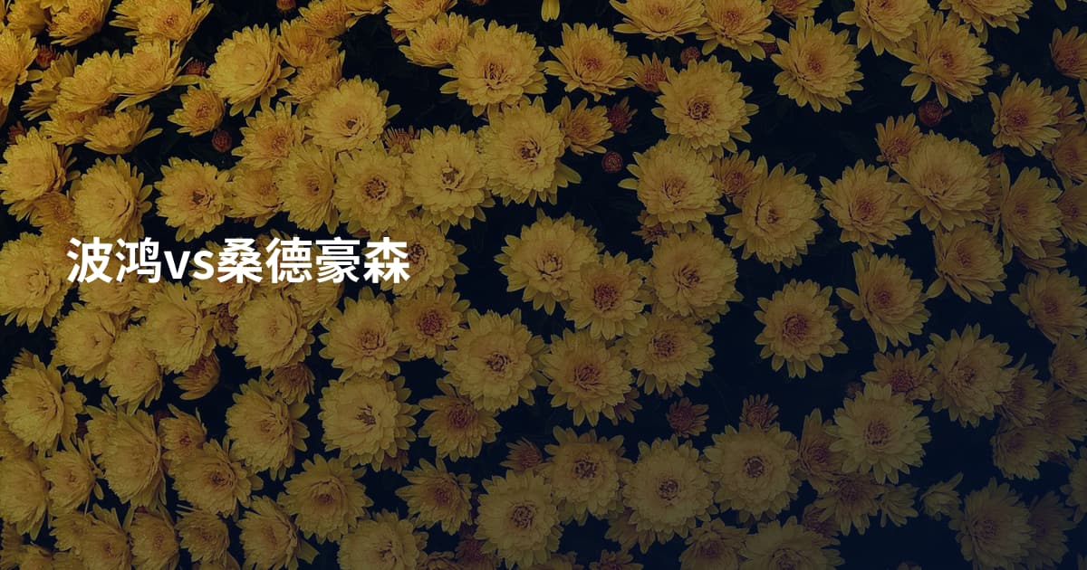 波鸿vs桑德豪森