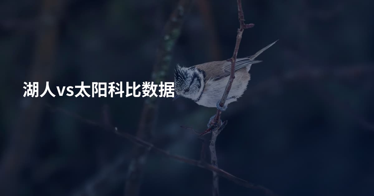 湖人vs太阳科比数据