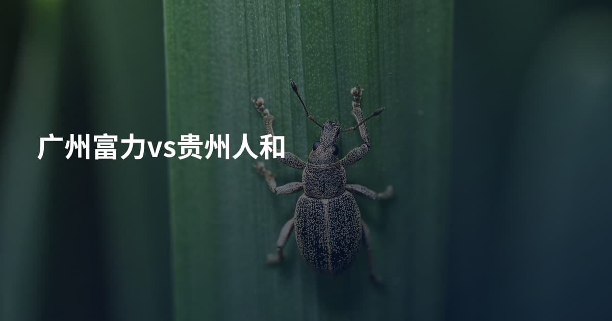 广州富力vs贵州人和