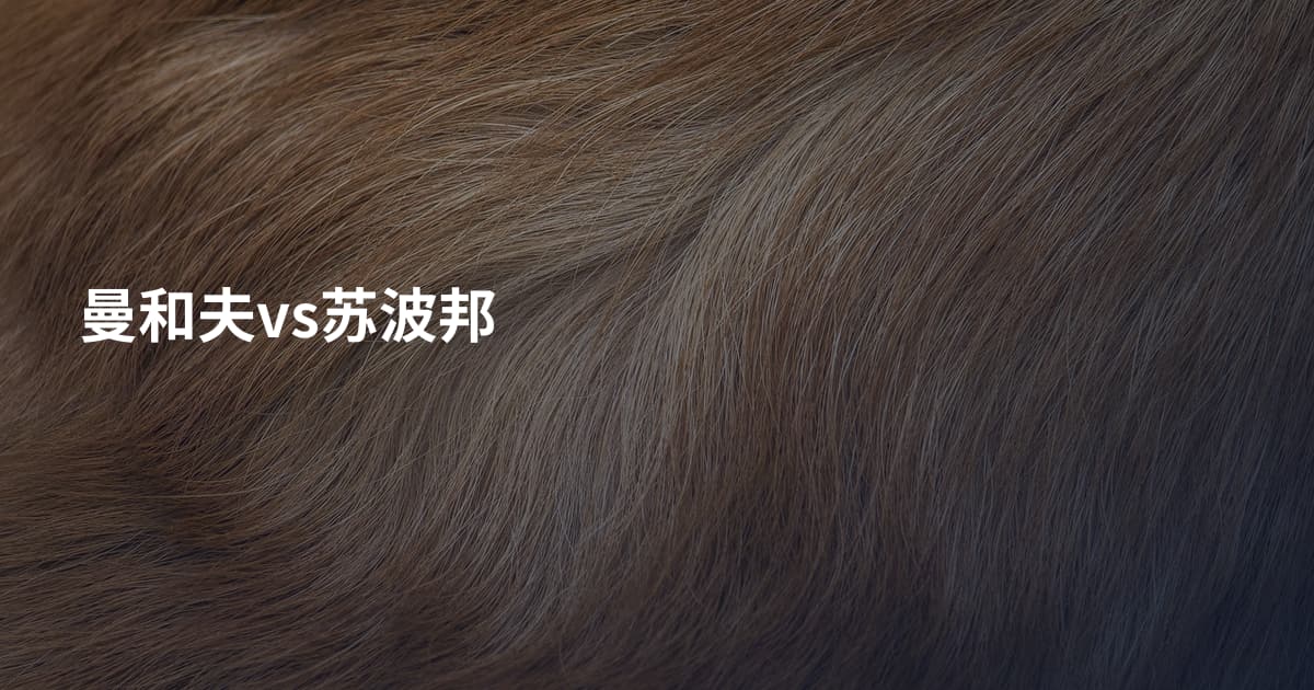 曼和夫vs苏波邦