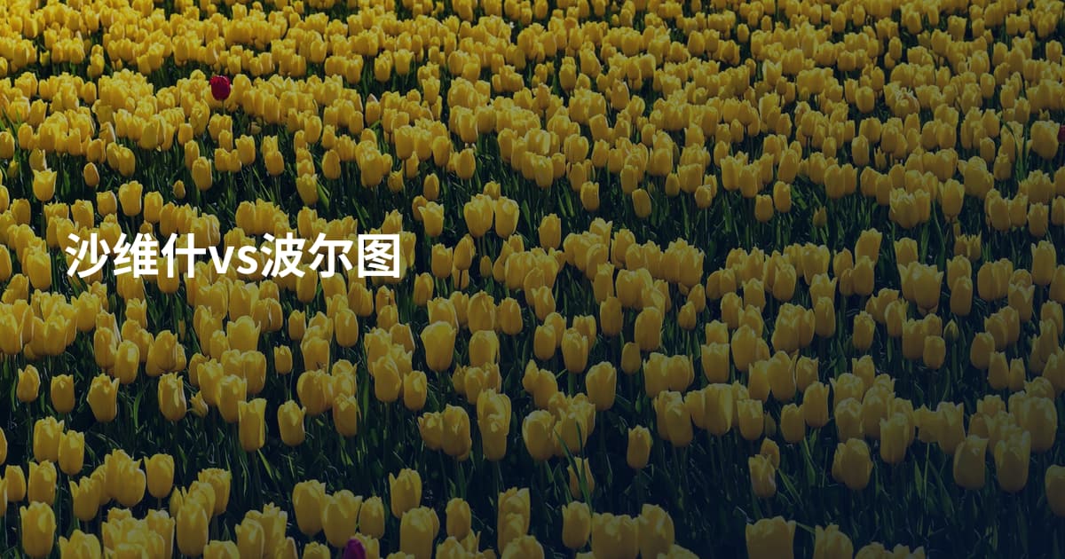沙维什vs波尔图