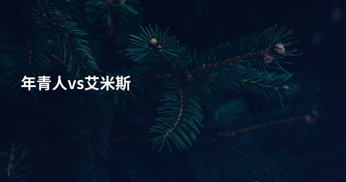 年青人vs艾米斯