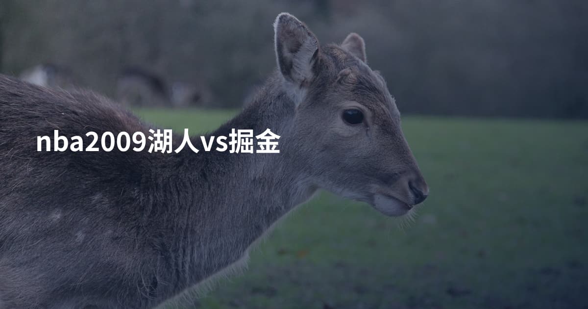 nba2009湖人vs掘金