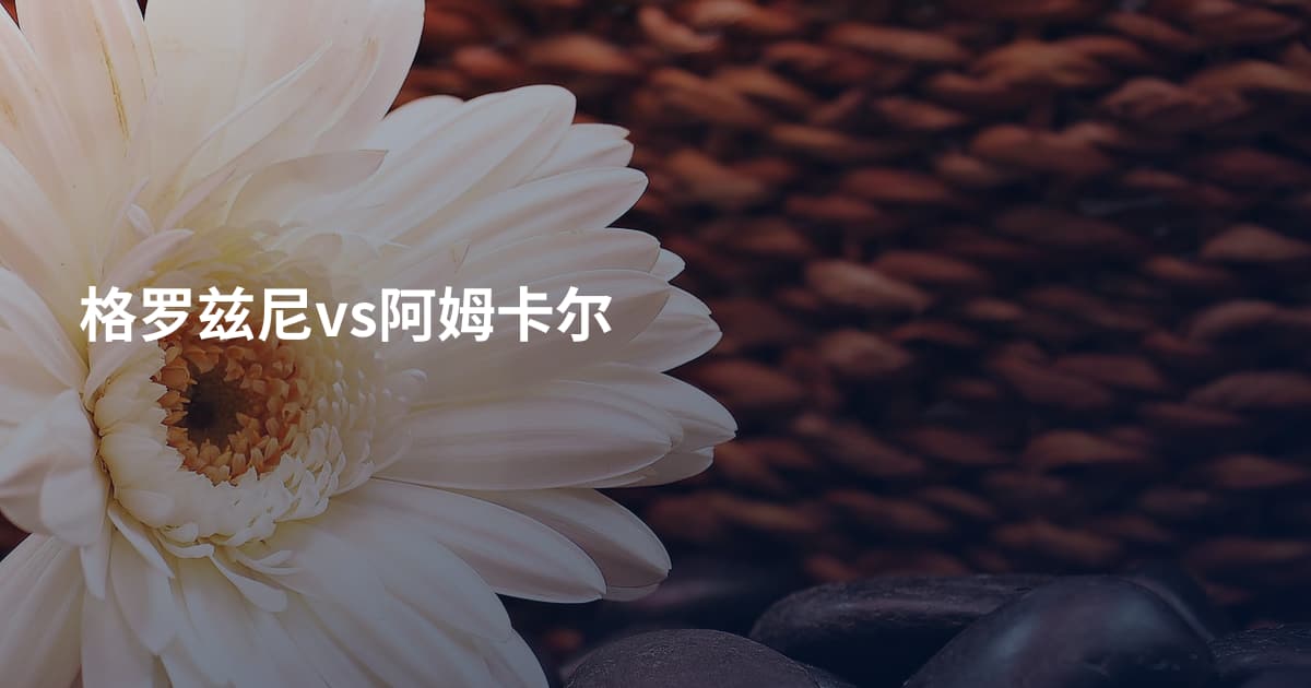格罗兹尼vs阿姆卡尔