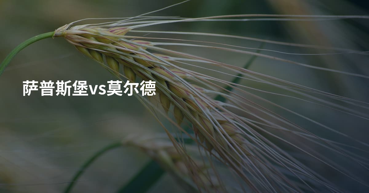萨普斯堡vs莫尔德