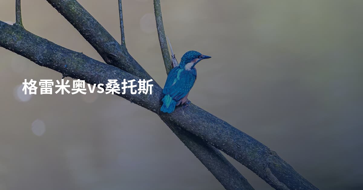 格雷米奥vs桑托斯