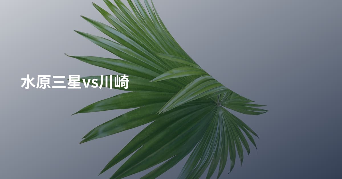 水原三星vs川崎