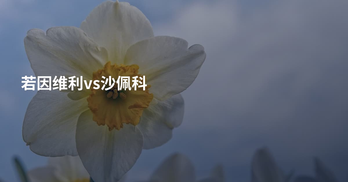 若因维利vs沙佩科