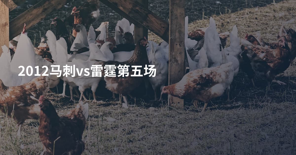 2012马刺vs雷霆第五场
