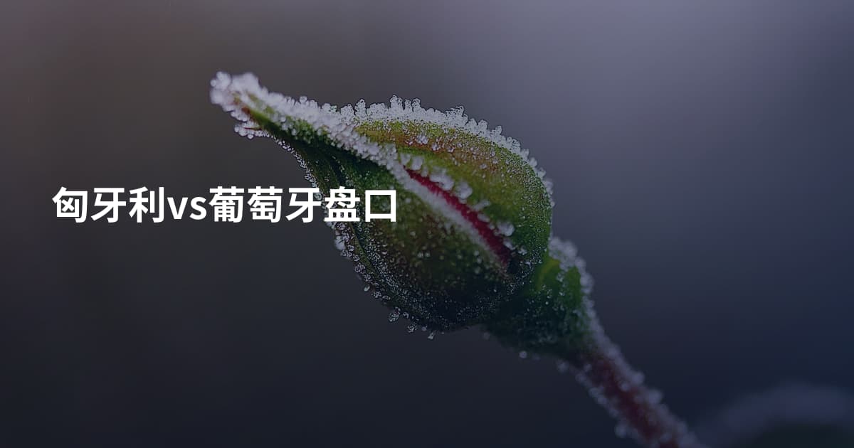 匈牙利vs葡萄牙盘口