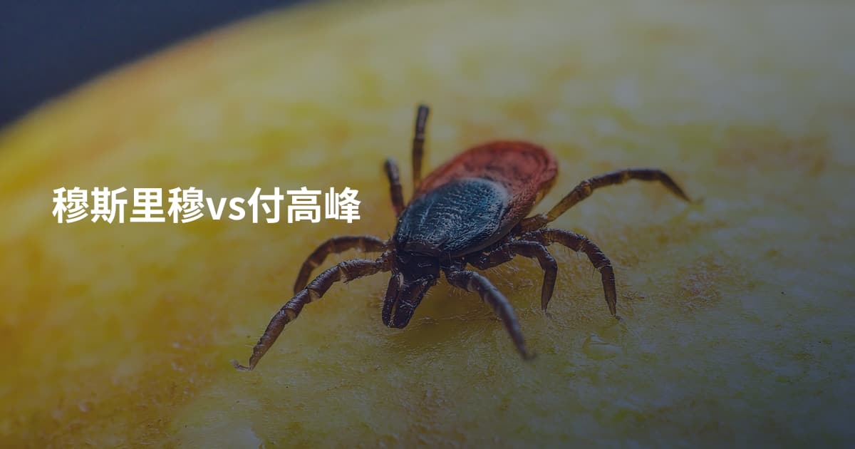 穆斯里穆vs付高峰