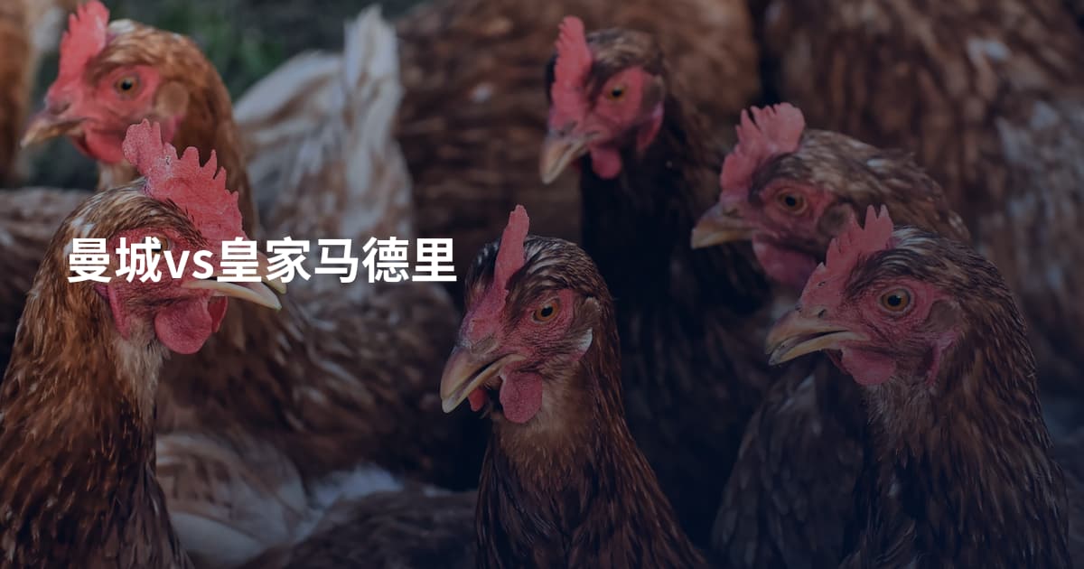 曼城vs皇家马德里