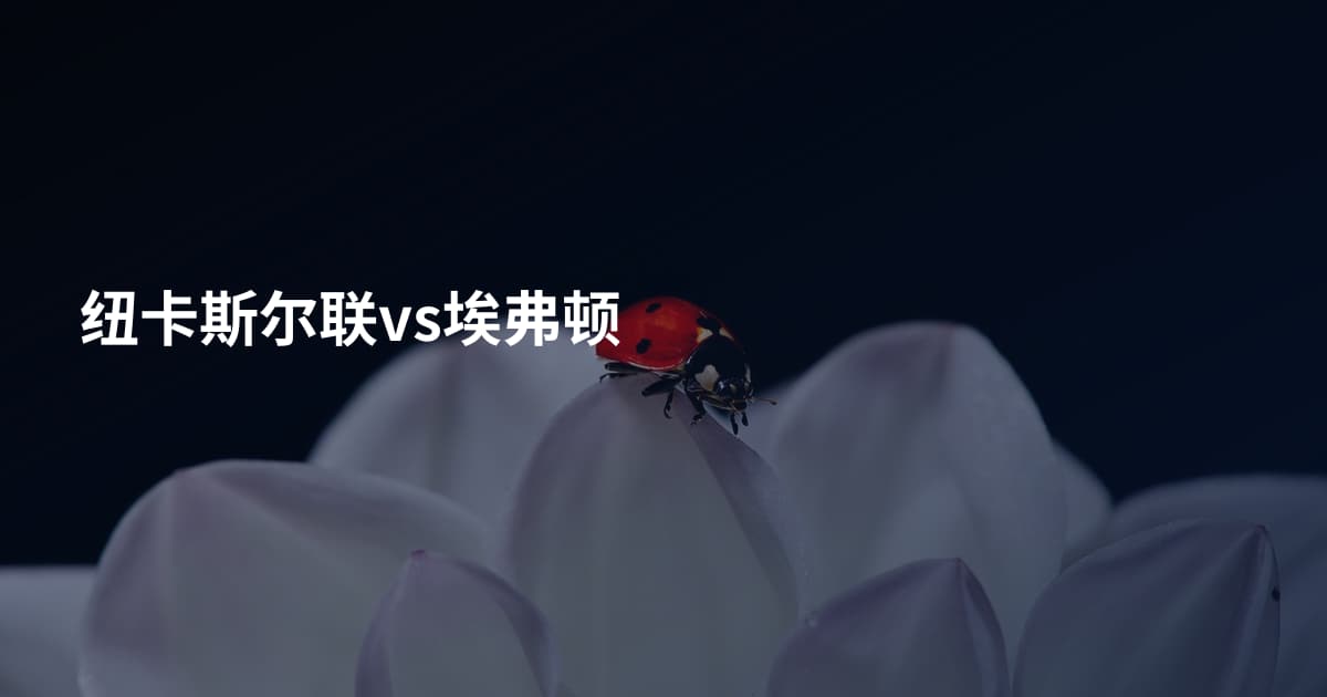 纽卡斯尔联vs埃弗顿