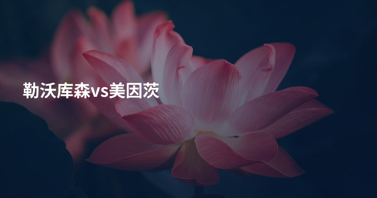 勒沃库森vs美因茨