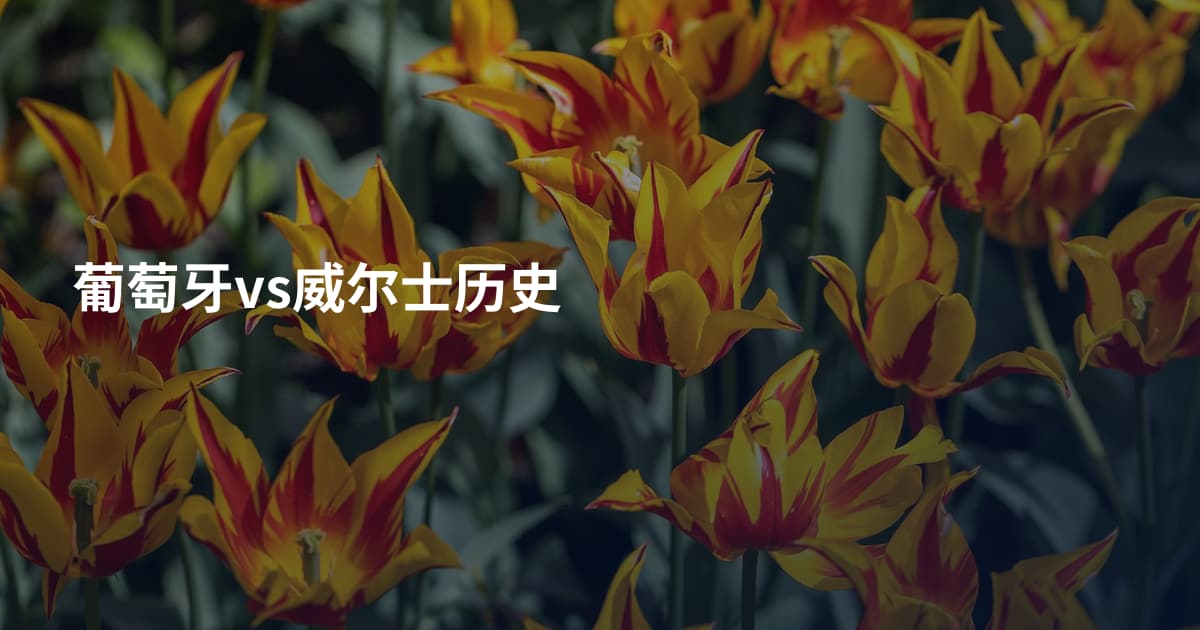 葡萄牙vs威尔士历史
