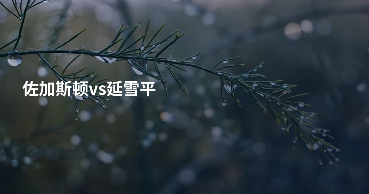 佐加斯顿vs延雪平
