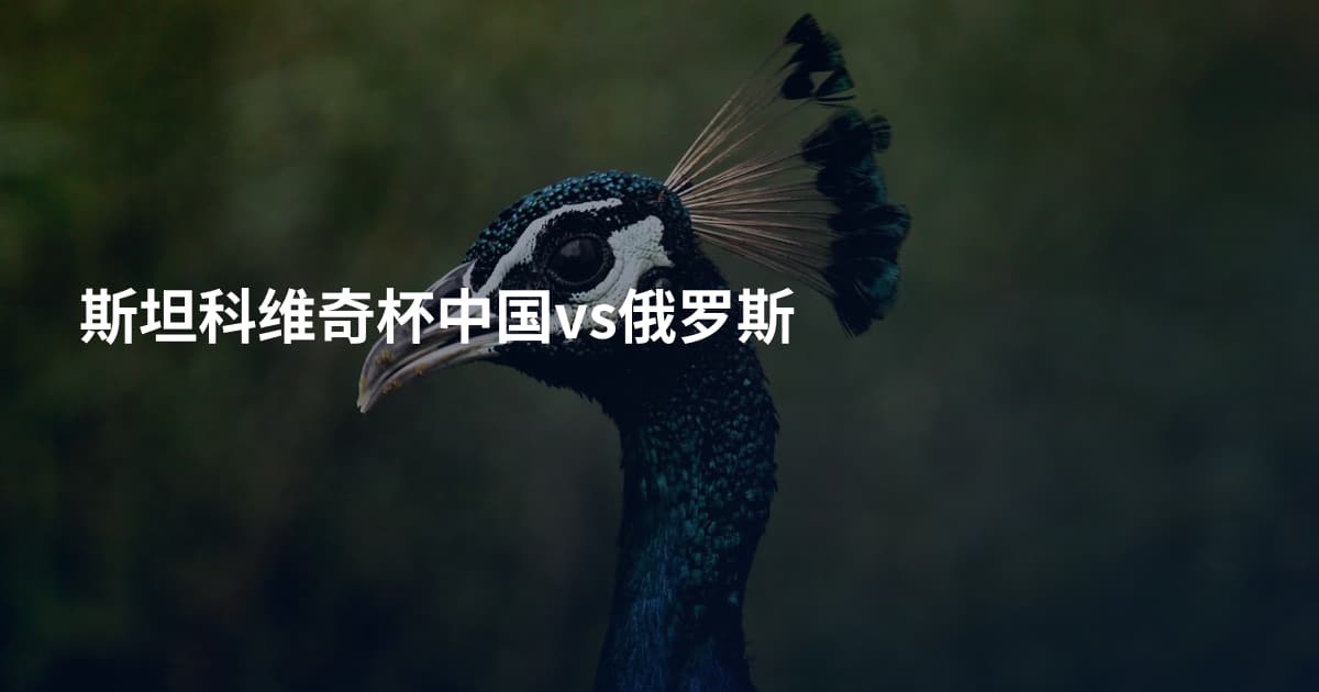 斯坦科维奇杯中国vs俄罗斯