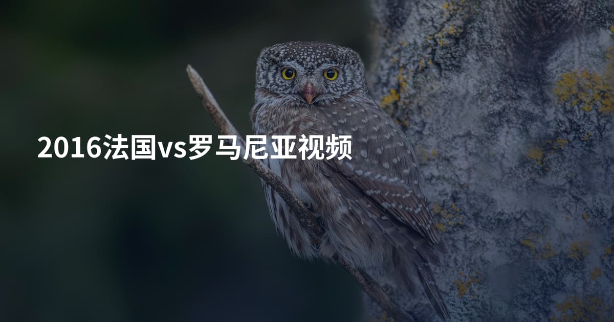 2016法国vs罗马尼亚视频