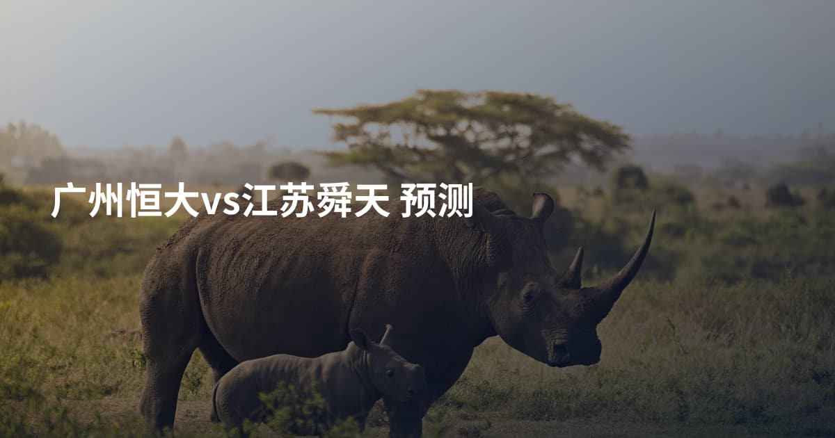 广州恒大vs江苏舜天 预测