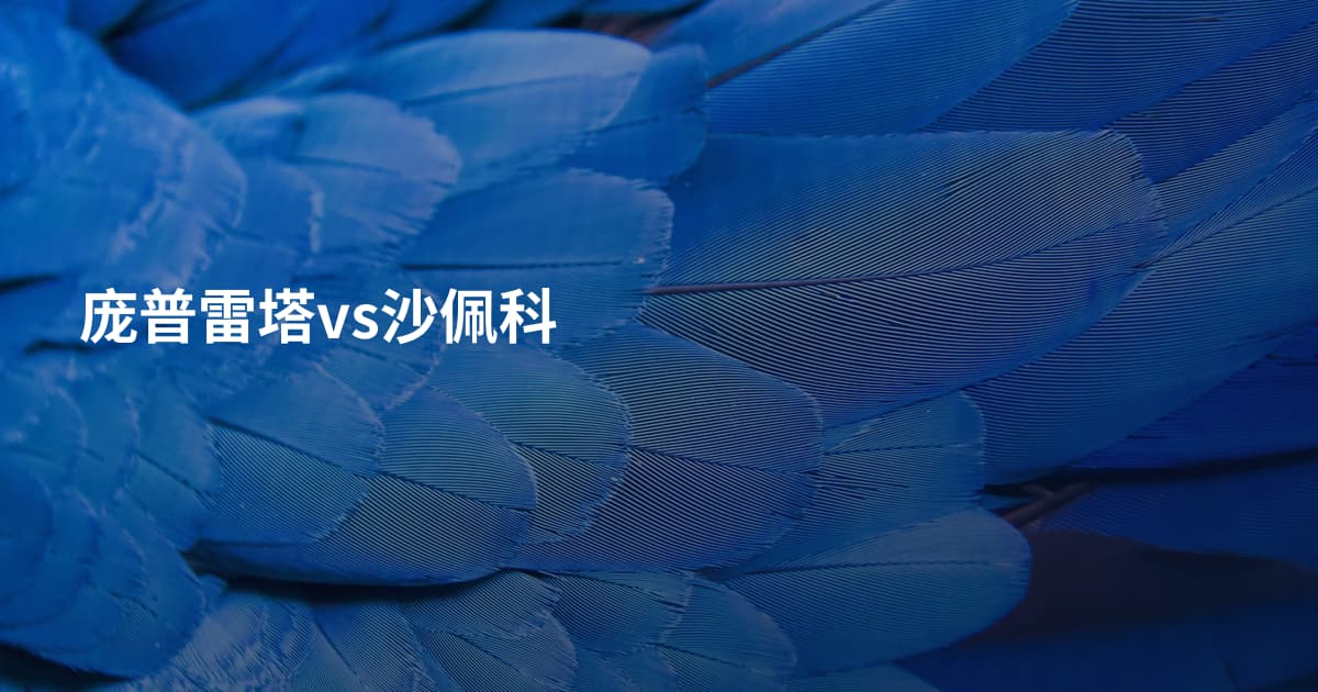 庞普雷塔vs沙佩科