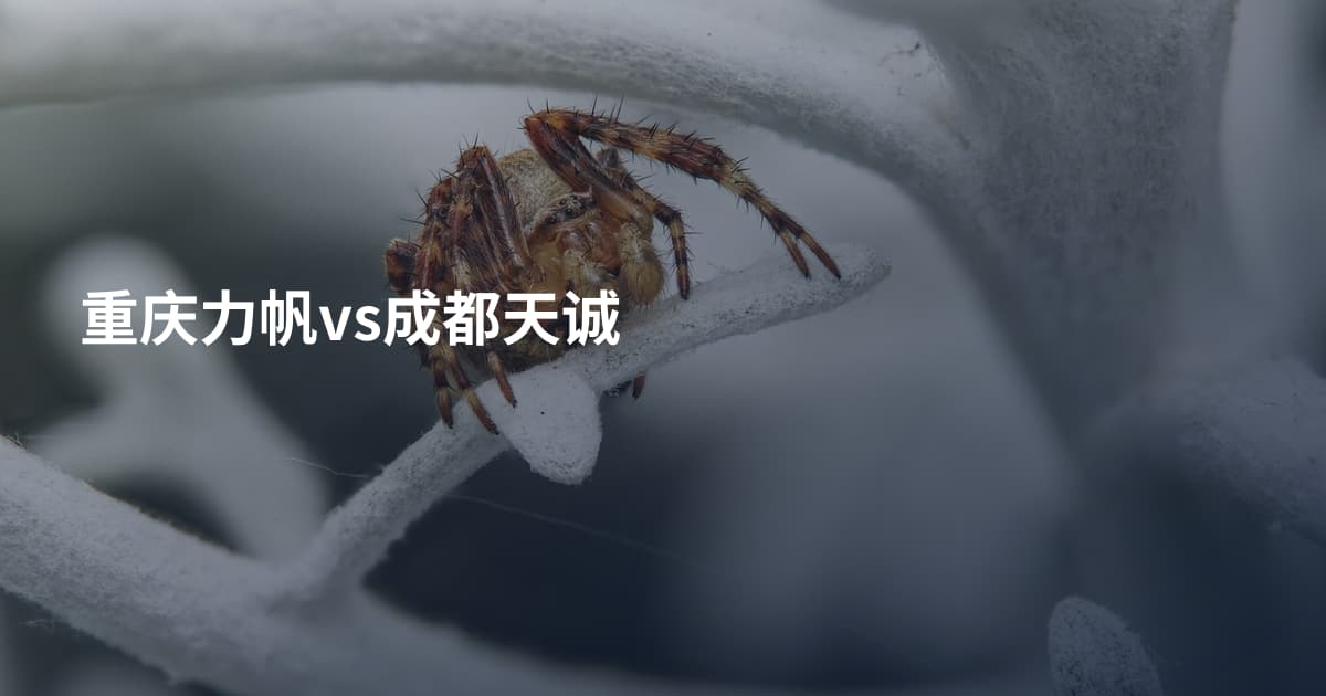 重庆力帆vs成都天诚