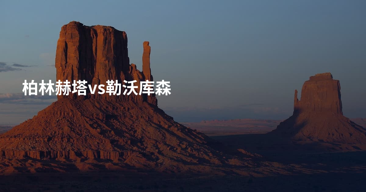 柏林赫塔vs勒沃库森