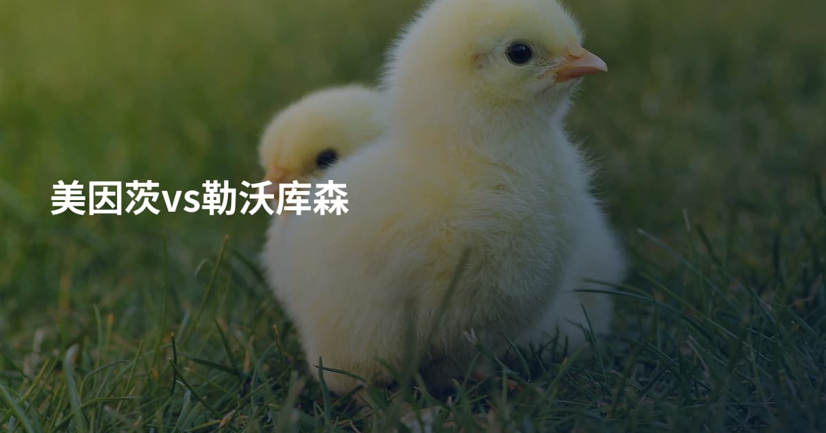 美因茨vs勒沃库森