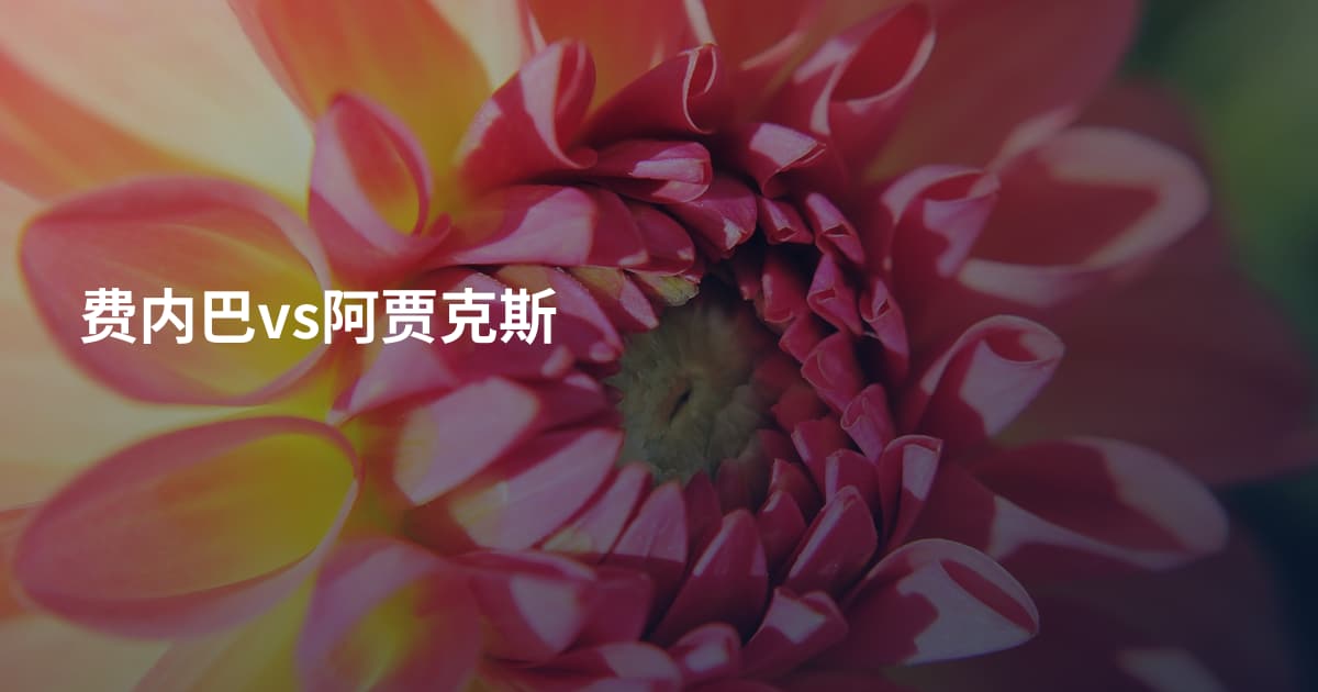费内巴vs阿贾克斯