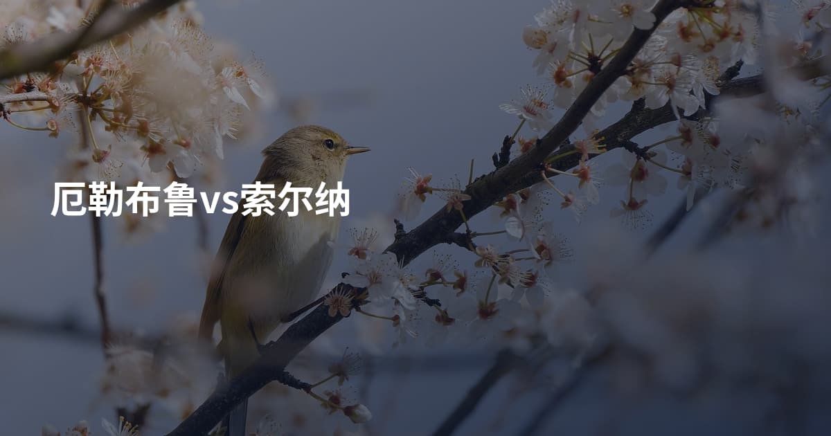 厄勒布鲁vs索尔纳