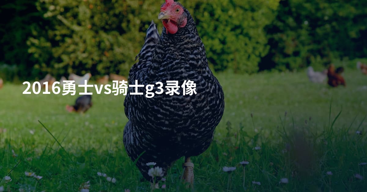 2016勇士vs骑士g3录像