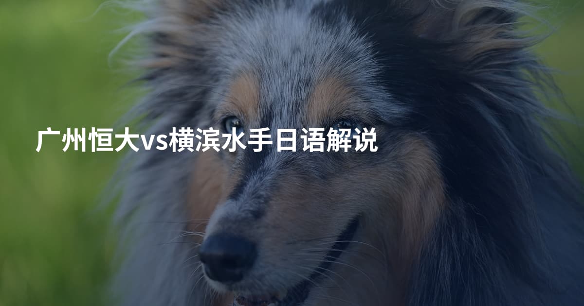 广州恒大vs横滨水手日语解说