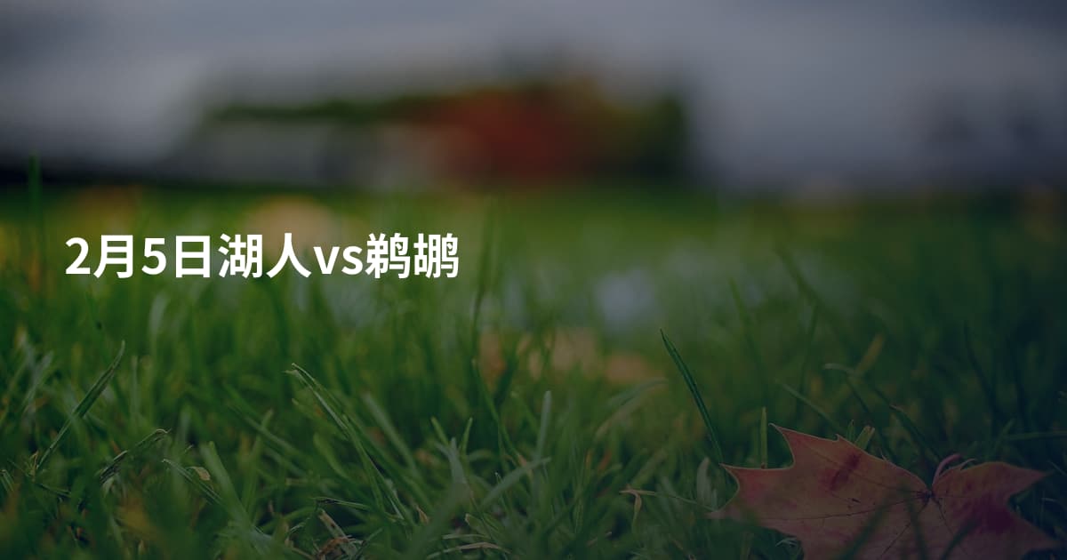 2月5日湖人vs鹈鹕