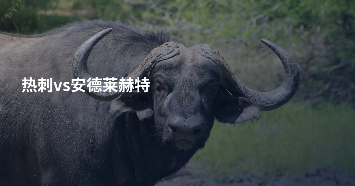 热刺vs安德莱赫特