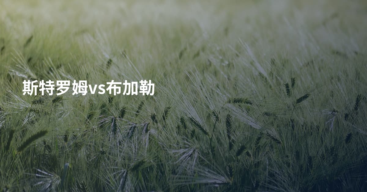 斯特罗姆vs布加勒