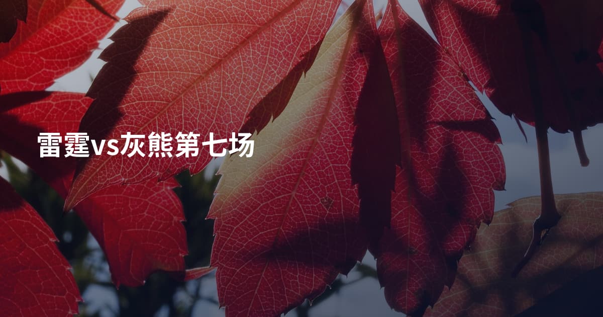 雷霆vs灰熊第七场