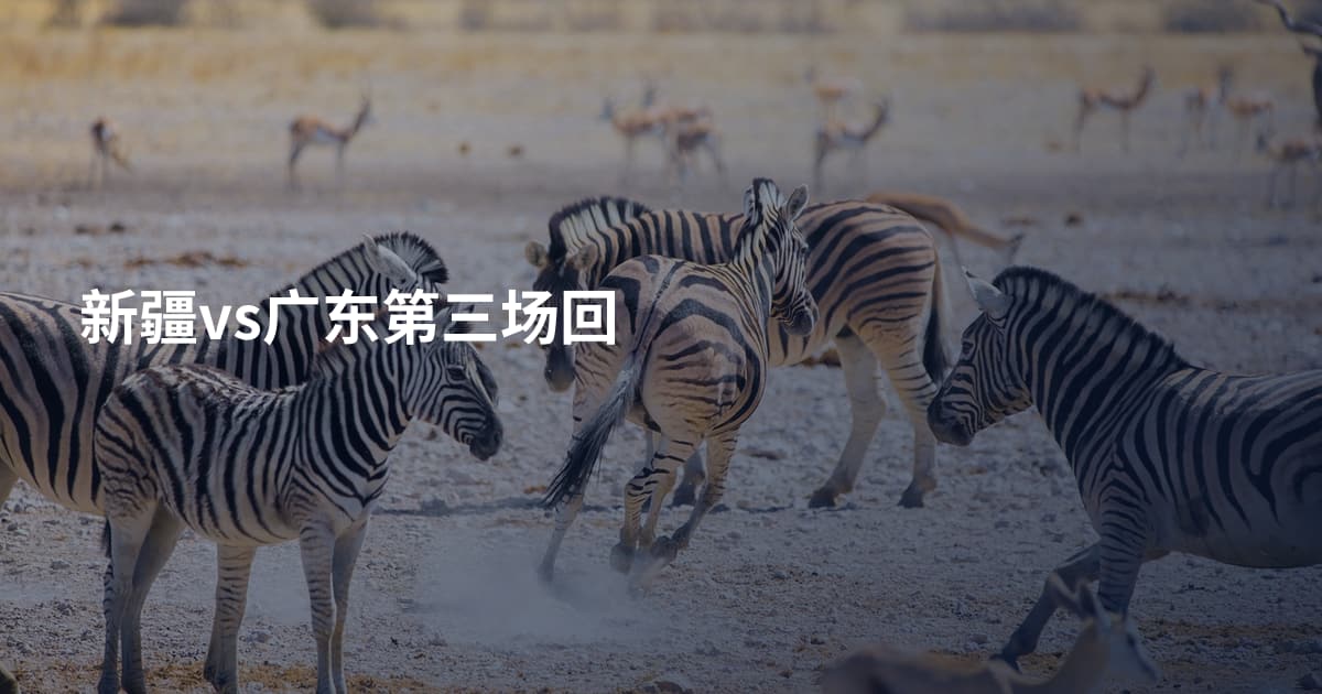 新疆vs广东第三场回