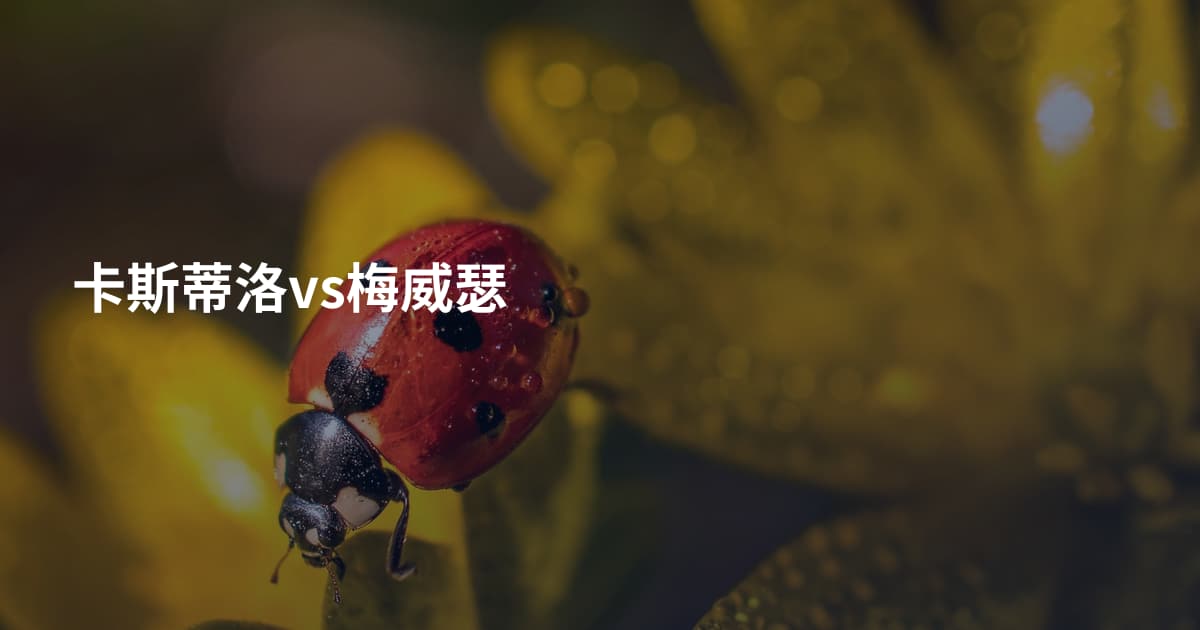 卡斯蒂洛vs梅威瑟
