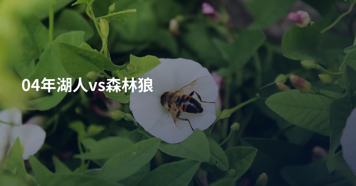 04年湖人vs森林狼