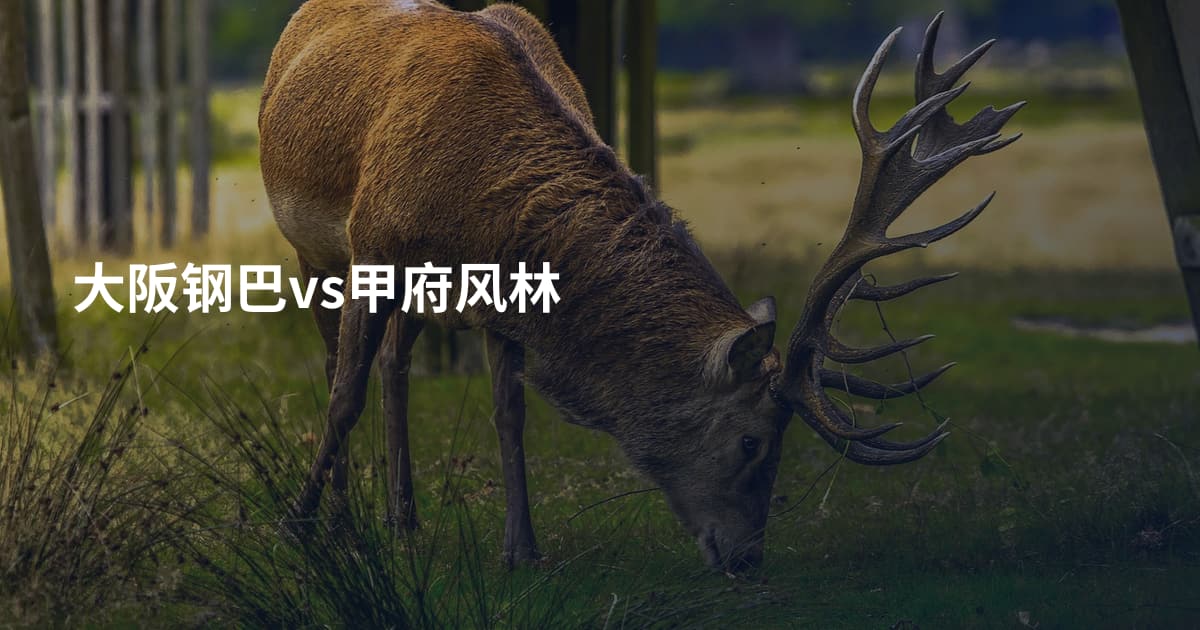 大阪钢巴vs甲府风林