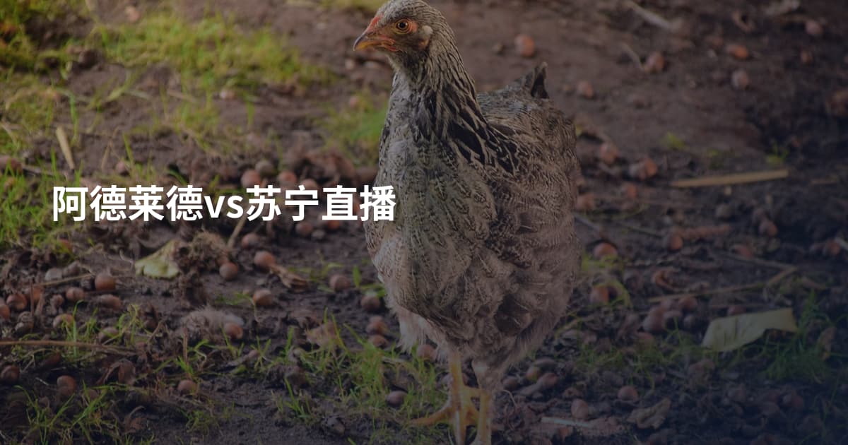 阿德莱德vs苏宁直播
