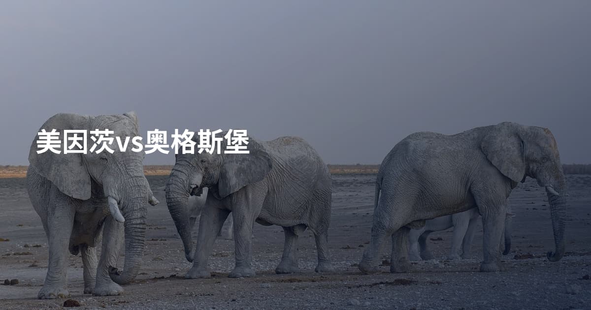 美因茨vs奥格斯堡