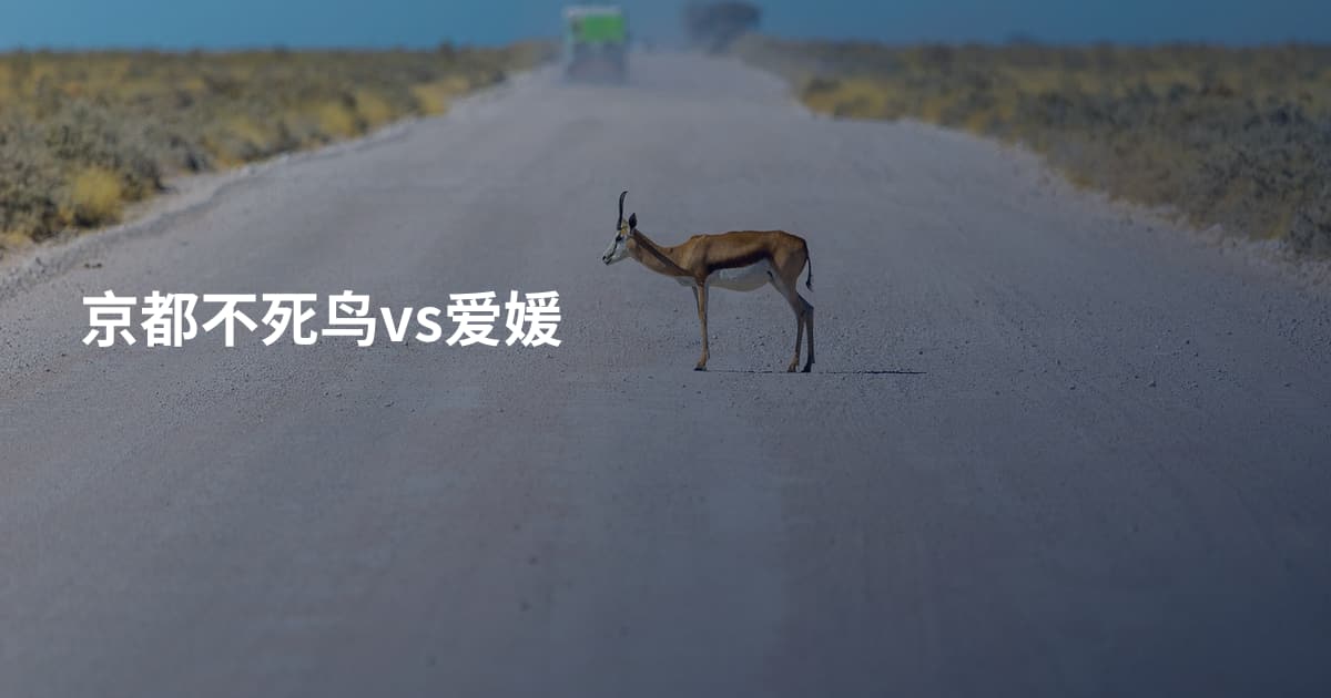 京都不死鸟vs爱媛
