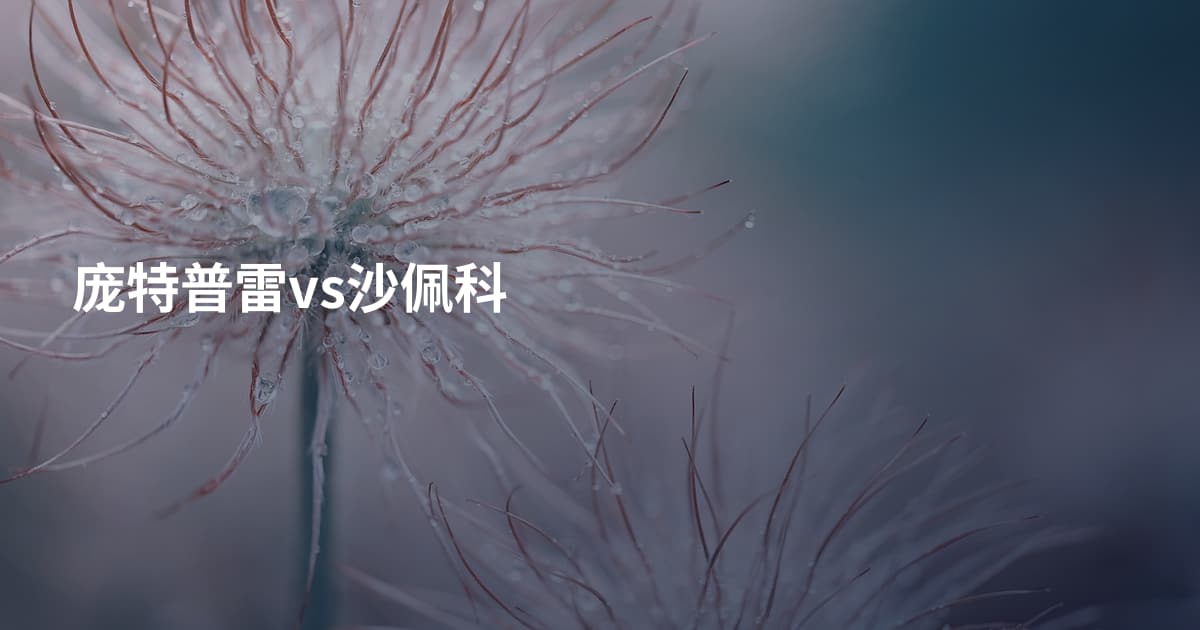 庞特普雷vs沙佩科