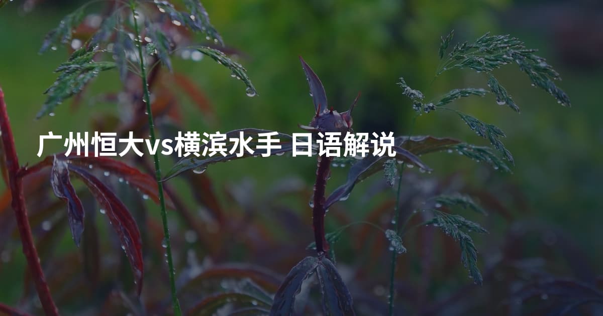 广州恒大vs横滨水手 日语解说