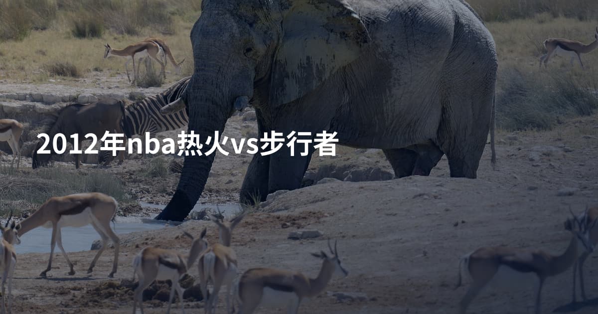 2012年nba热火vs步行者
