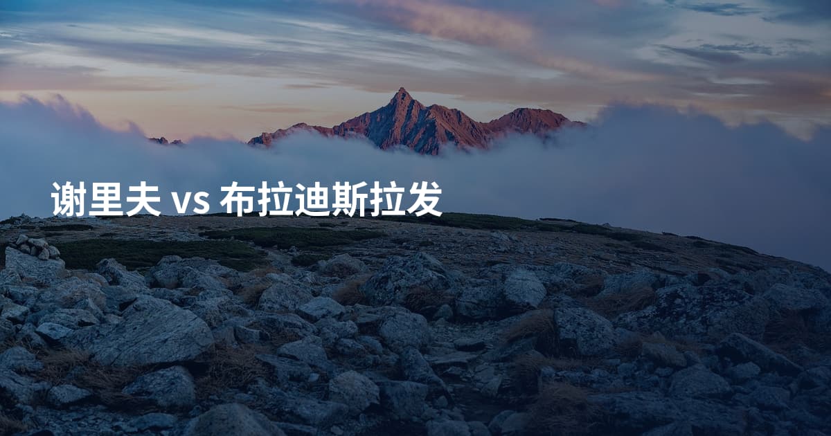 谢里夫 vs 布拉迪斯拉发