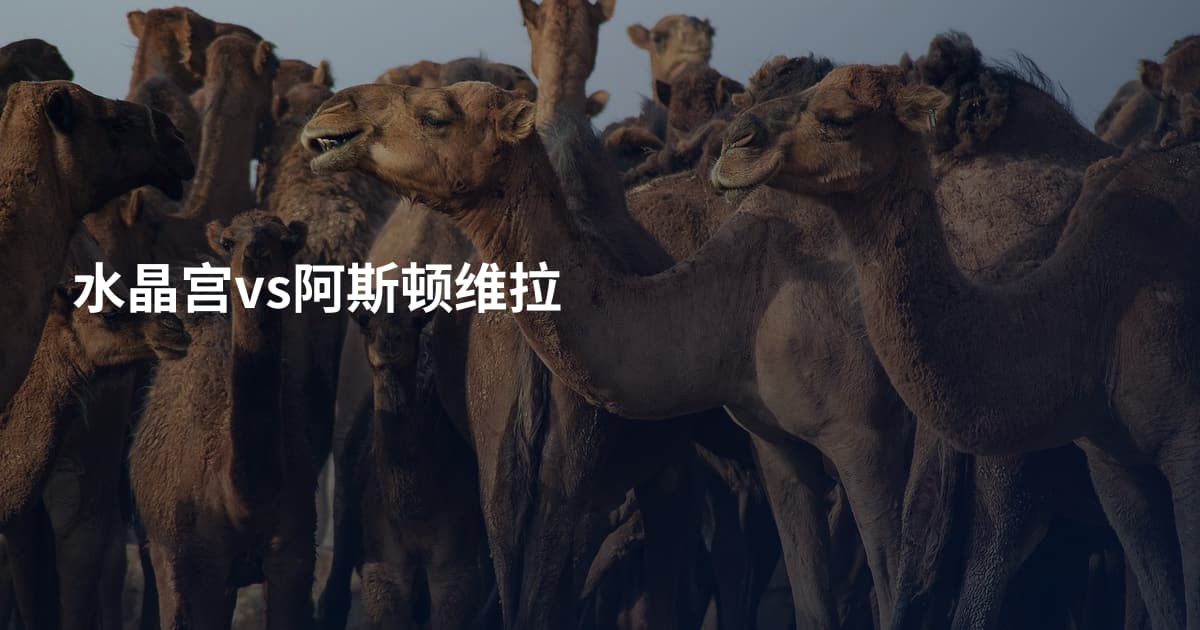 水晶宫vs阿斯顿维拉
