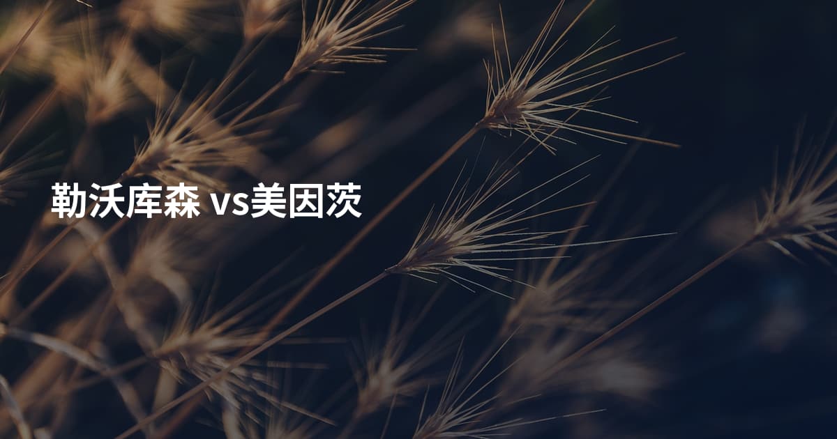 勒沃库森 vs美因茨