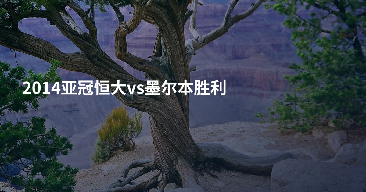 2014亚冠恒大vs墨尔本胜利